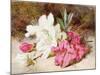 Azalea Bloom, C.1865-74-Helen Cordelia Coleman Angell-Mounted Giclee Print