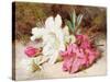 Azalea Bloom, C.1865-74-Helen Cordelia Coleman Angell-Stretched Canvas