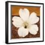 Azalea Blossom-Tamara Wright-Framed Art Print