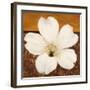 Azalea Blossom-Tamara Wright-Framed Art Print