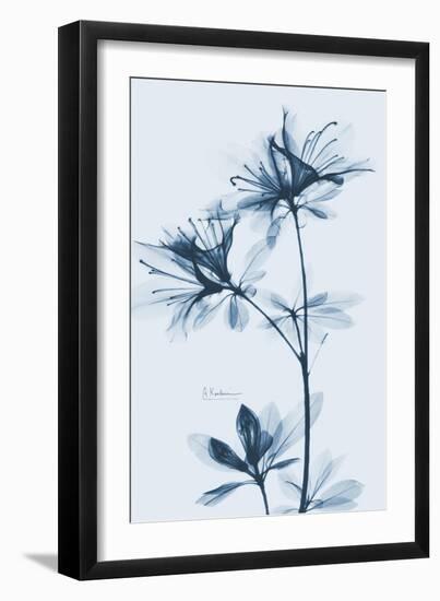 Azalea  Blues-Albert Koetsier-Framed Art Print