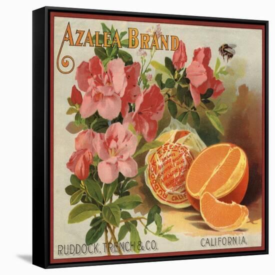 Azalea Brand - California - Citrus Crate Label-Lantern Press-Framed Stretched Canvas