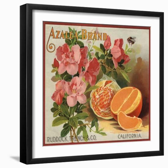 Azalea Brand - California - Citrus Crate Label-Lantern Press-Framed Art Print