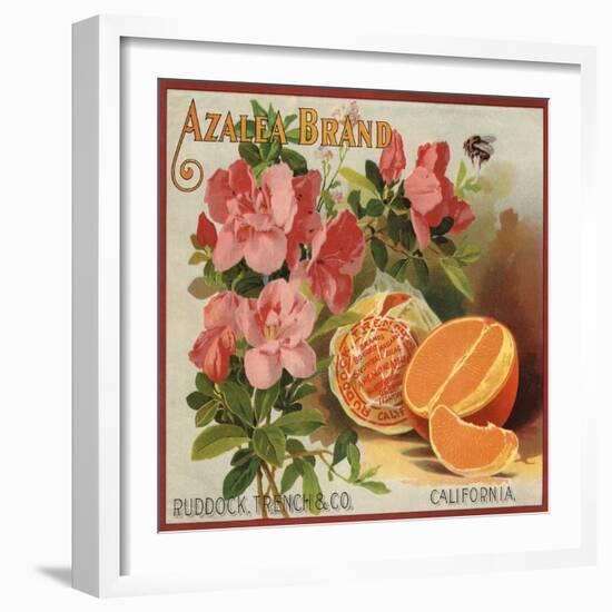Azalea Brand - California - Citrus Crate Label-Lantern Press-Framed Art Print