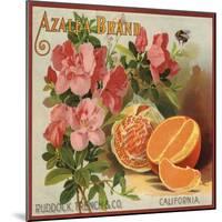 Azalea Brand - California - Citrus Crate Label-Lantern Press-Mounted Art Print