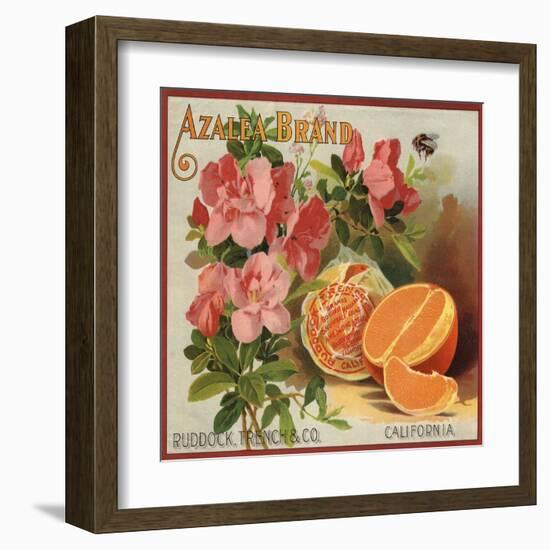 Azalea Brand - California - Citrus Crate Label-Lantern Press-Framed Art Print