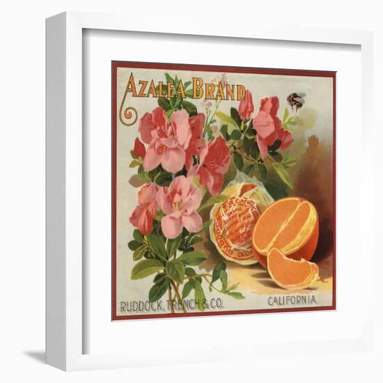 Azalea Brand - California - Citrus Crate Label-Lantern Press-Framed Art Print