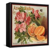 Azalea Brand - California - Citrus Crate Label-Lantern Press-Framed Stretched Canvas