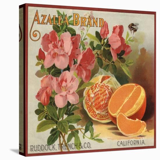 Azalea Brand - California - Citrus Crate Label-Lantern Press-Stretched Canvas