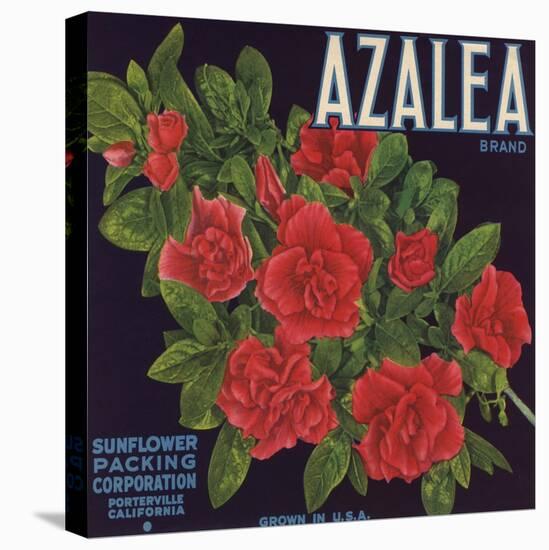 Azalea Brand - Porterville, California - Citrus Crate Label-Lantern Press-Stretched Canvas