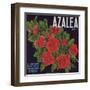 Azalea Brand - Porterville, California - Citrus Crate Label-Lantern Press-Framed Art Print