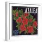 Azalea Brand - Porterville, California - Citrus Crate Label-Lantern Press-Framed Art Print