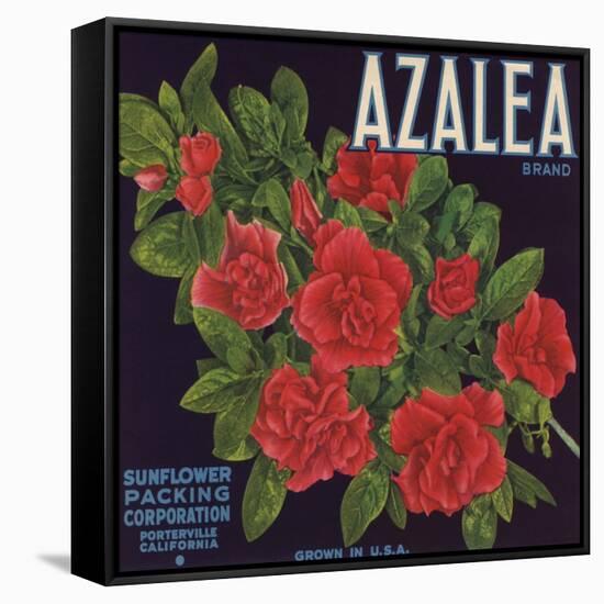 Azalea Brand - Porterville, California - Citrus Crate Label-Lantern Press-Framed Stretched Canvas