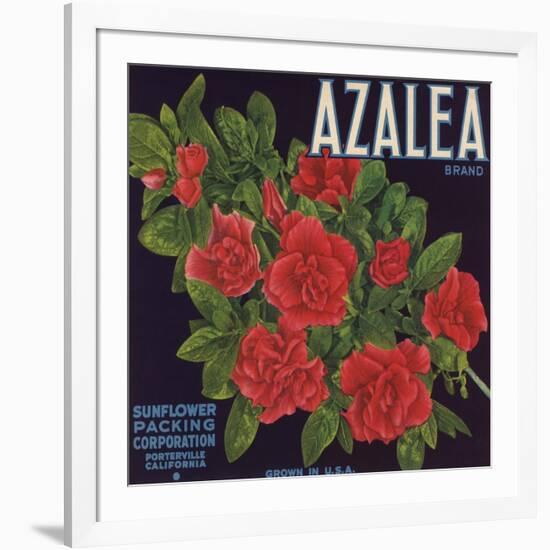 Azalea Brand - Porterville, California - Citrus Crate Label-Lantern Press-Framed Art Print