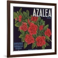 Azalea Brand - Porterville, California - Citrus Crate Label-Lantern Press-Framed Art Print