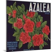 Azalea Brand - Porterville, California - Citrus Crate Label-Lantern Press-Mounted Art Print