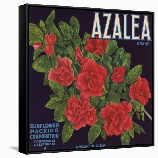 Azalea Brand - Porterville, California - Citrus Crate Label-Lantern Press-Framed Stretched Canvas