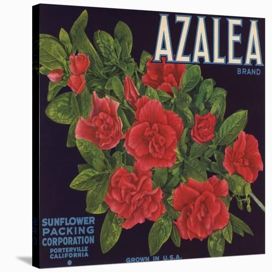 Azalea Brand - Porterville, California - Citrus Crate Label-Lantern Press-Stretched Canvas