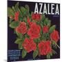 Azalea Brand - Porterville, California - Citrus Crate Label-Lantern Press-Mounted Art Print