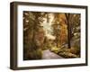 Azalea Garden in Autumn-Jessica Jenney-Framed Giclee Print