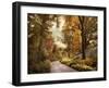 Azalea Garden in Autumn-Jessica Jenney-Framed Giclee Print