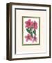 Azalea I-null-Framed Art Print