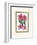 Azalea I-null-Framed Art Print