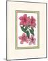 Azalea I-null-Mounted Art Print