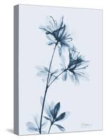 Azalea in Blue-Albert Koetsier-Stretched Canvas