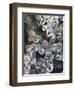 Azalea Plants Encased in Ice, Portland, Oregon, USA-Steve Terrill-Framed Photographic Print