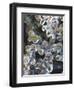 Azalea Plants Encased in Ice, Portland, Oregon, USA-Steve Terrill-Framed Photographic Print