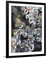 Azalea Plants Encased in Ice, Portland, Oregon, USA-Steve Terrill-Framed Photographic Print