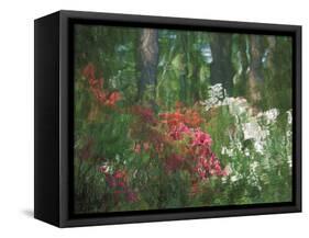 Azalea Reflection in Pond, Georgia, USA-Nancy Rotenberg-Framed Stretched Canvas