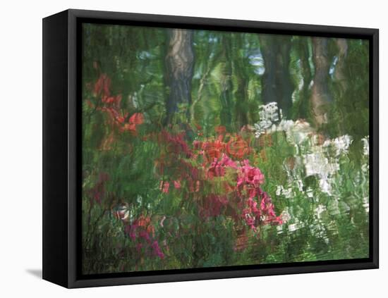 Azalea Reflection in Pond, Georgia, USA-Nancy Rotenberg-Framed Stretched Canvas