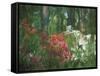 Azalea Reflection in Pond, Georgia, USA-Nancy Rotenberg-Framed Stretched Canvas