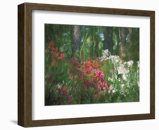 Azalea Reflection in Pond, Georgia, USA-Nancy Rotenberg-Framed Photographic Print