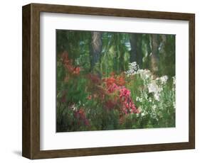 Azalea Reflection in Pond, Georgia, USA-Nancy Rotenberg-Framed Photographic Print