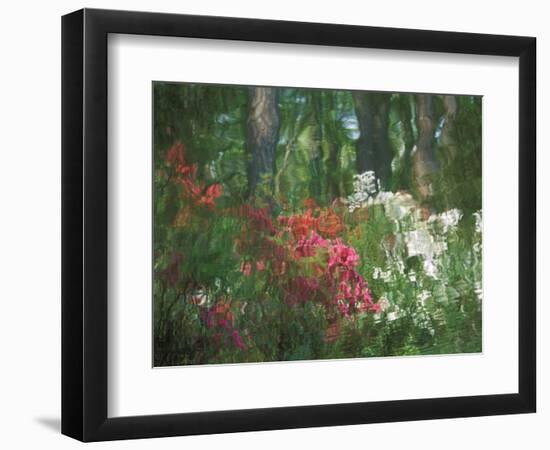 Azalea Reflection in Pond, Georgia, USA-Nancy Rotenberg-Framed Photographic Print