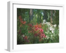 Azalea Reflection in Pond, Georgia, USA-Nancy Rotenberg-Framed Photographic Print