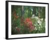 Azalea Reflection in Pond, Georgia, USA-Nancy Rotenberg-Framed Photographic Print