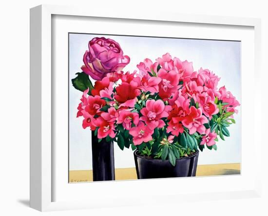 Azalea Rose-Christopher Ryland-Framed Giclee Print