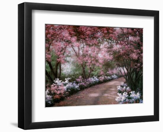 Azalea Walk-Diane Romanello-Framed Art Print