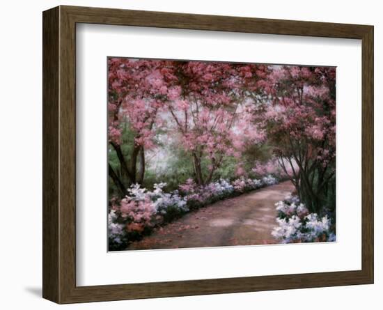 Azalea Walk-Diane Romanello-Framed Art Print