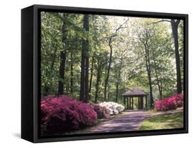 Azalea Way, Botanical Gardens, Bronx, NY-Lauree Feldman-Framed Stretched Canvas