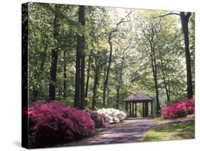 Azalea Way, Botanical Gardens, Bronx, NY-Lauree Feldman-Stretched Canvas