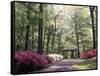 Azalea Way, Botanical Gardens, Bronx, NY-Lauree Feldman-Framed Stretched Canvas