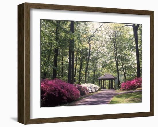 Azalea Way, Botanical Gardens, Bronx, NY-Lauree Feldman-Framed Photographic Print