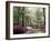 Azalea Way, Botanical Gardens, Bronx, NY-Lauree Feldman-Framed Photographic Print