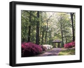 Azalea Way, Botanical Gardens, Bronx, NY-Lauree Feldman-Framed Photographic Print