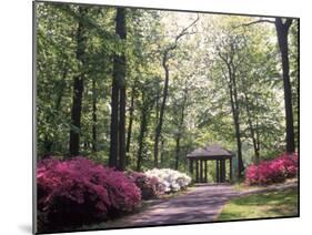 Azalea Way, Botanical Gardens, Bronx, NY-Lauree Feldman-Mounted Photographic Print